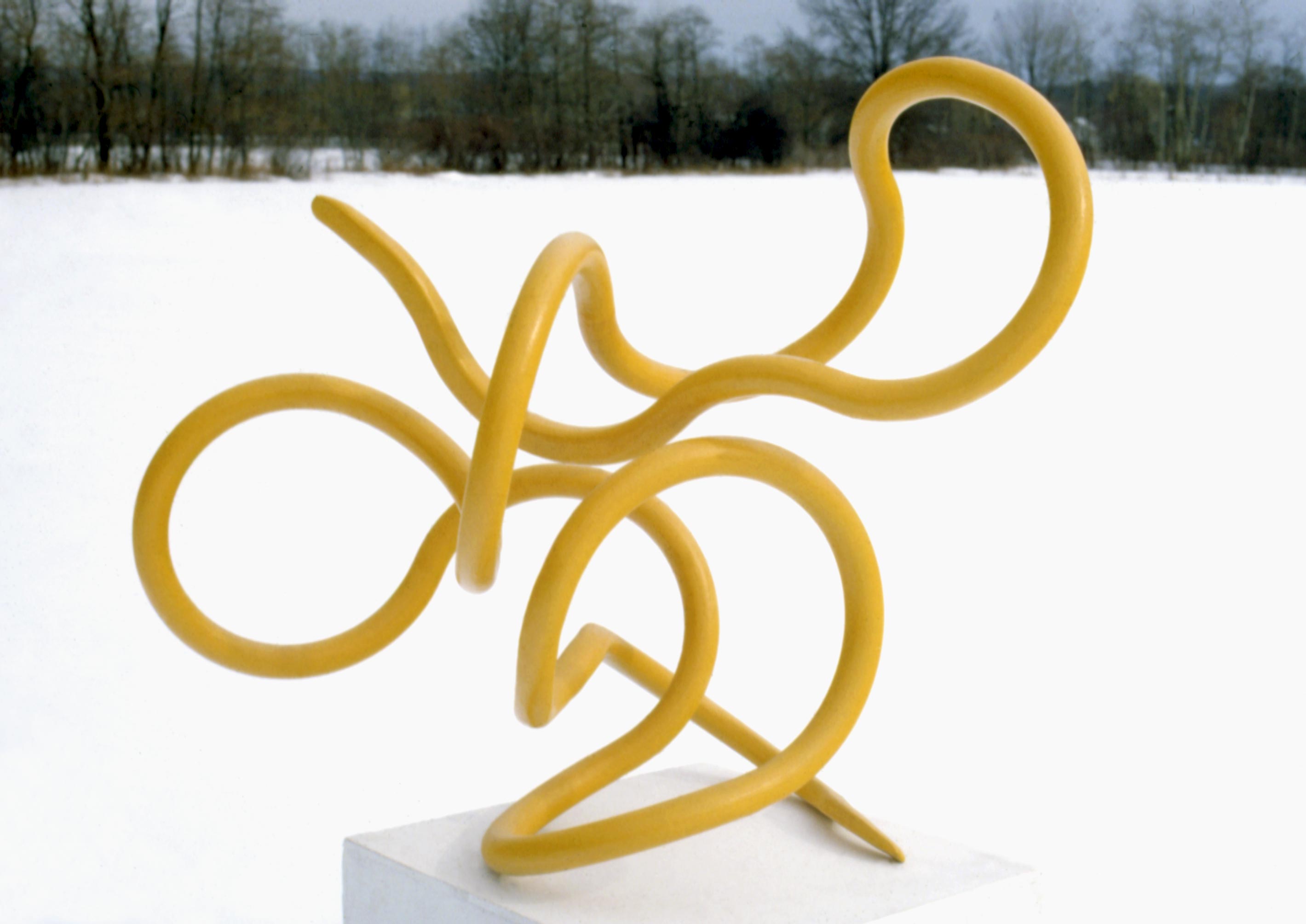 Continnum Series sculptures by Craig Shankles